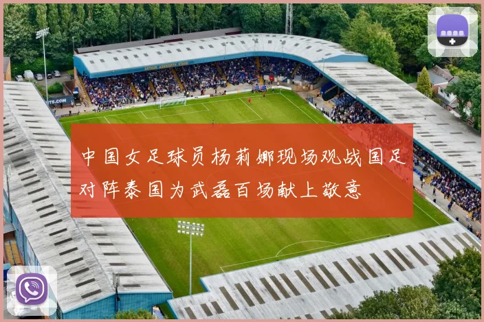 中国女足球员杨莉娜现场观战国足对阵泰国为武磊百场献上敬意